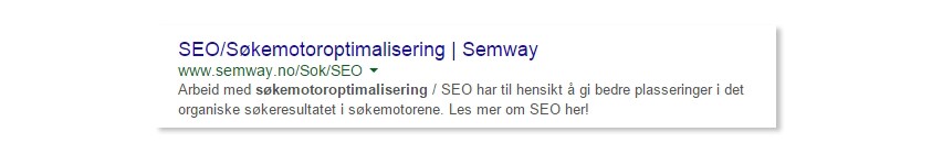 Søkemotoroptimalisering / SEO