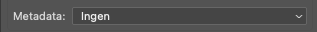 "ingen" er valgt i feltet "metadata"