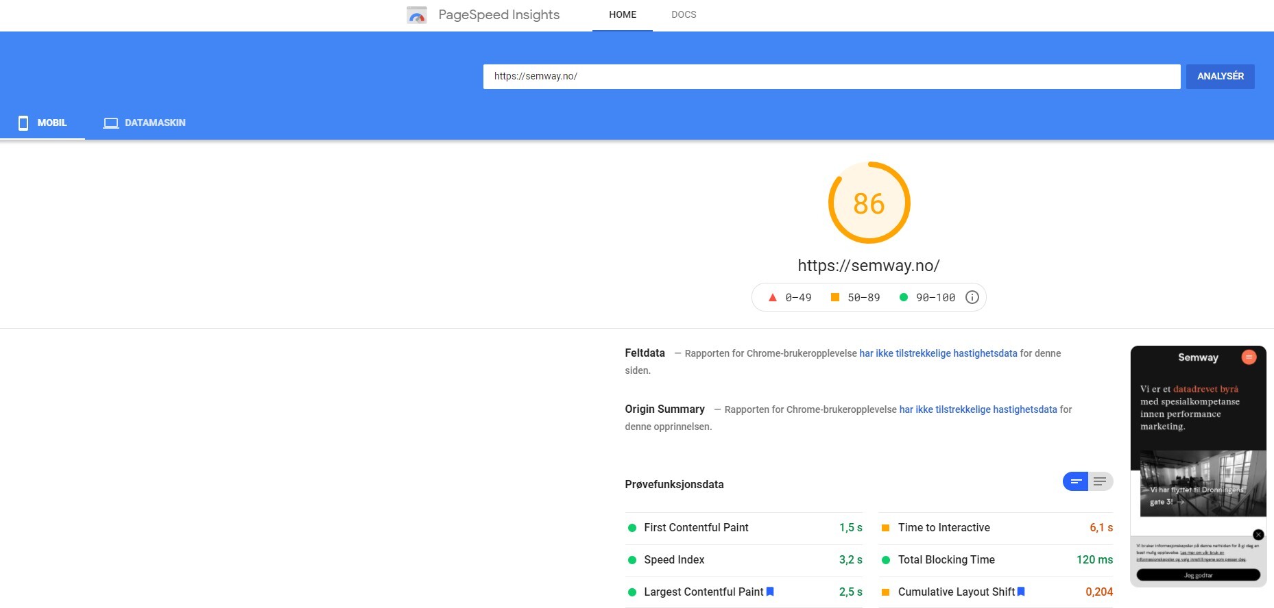 Pagespeed Insights for semway sine nettsider