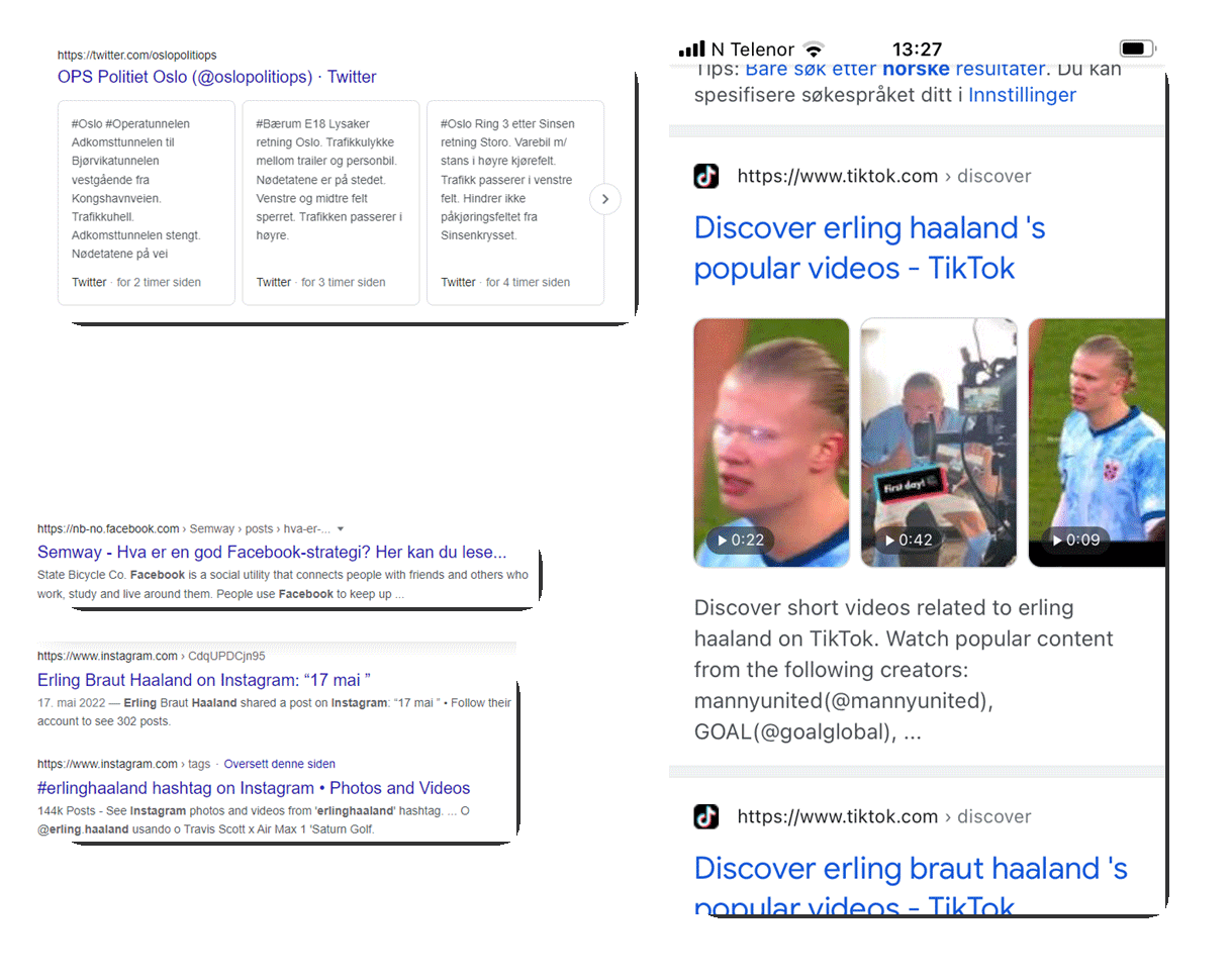 Utdrag fra søkeresultater der Tik Tok og Instagram resultater dukker opp