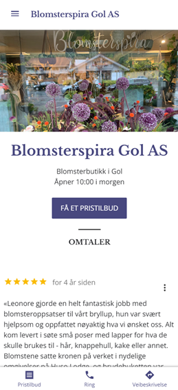 skjermbilde av Blomsterspira Gol sin Google nettside